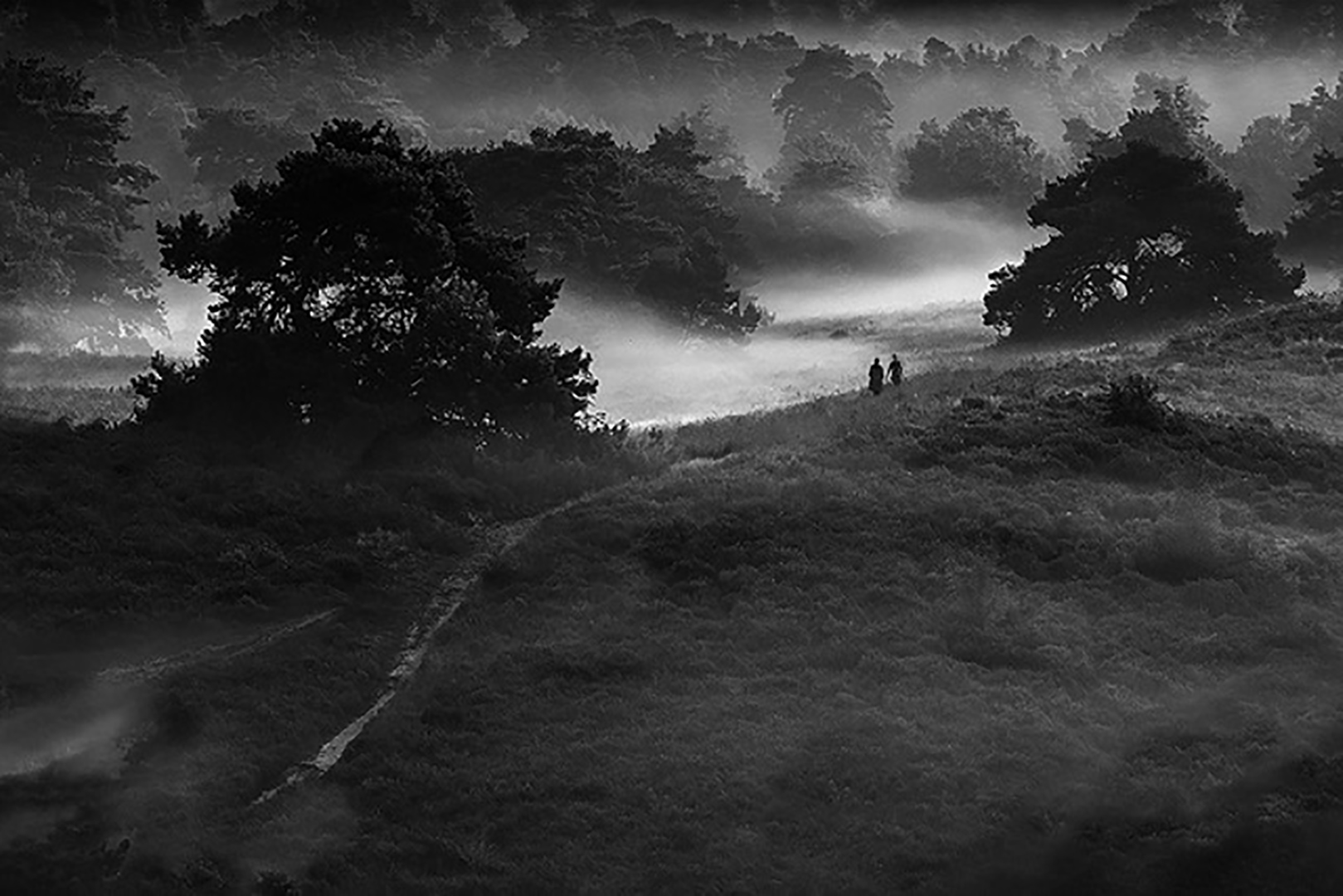 Paysage brumeux 1