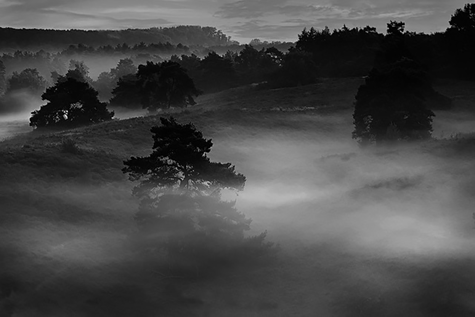 Paysage brumeux 3