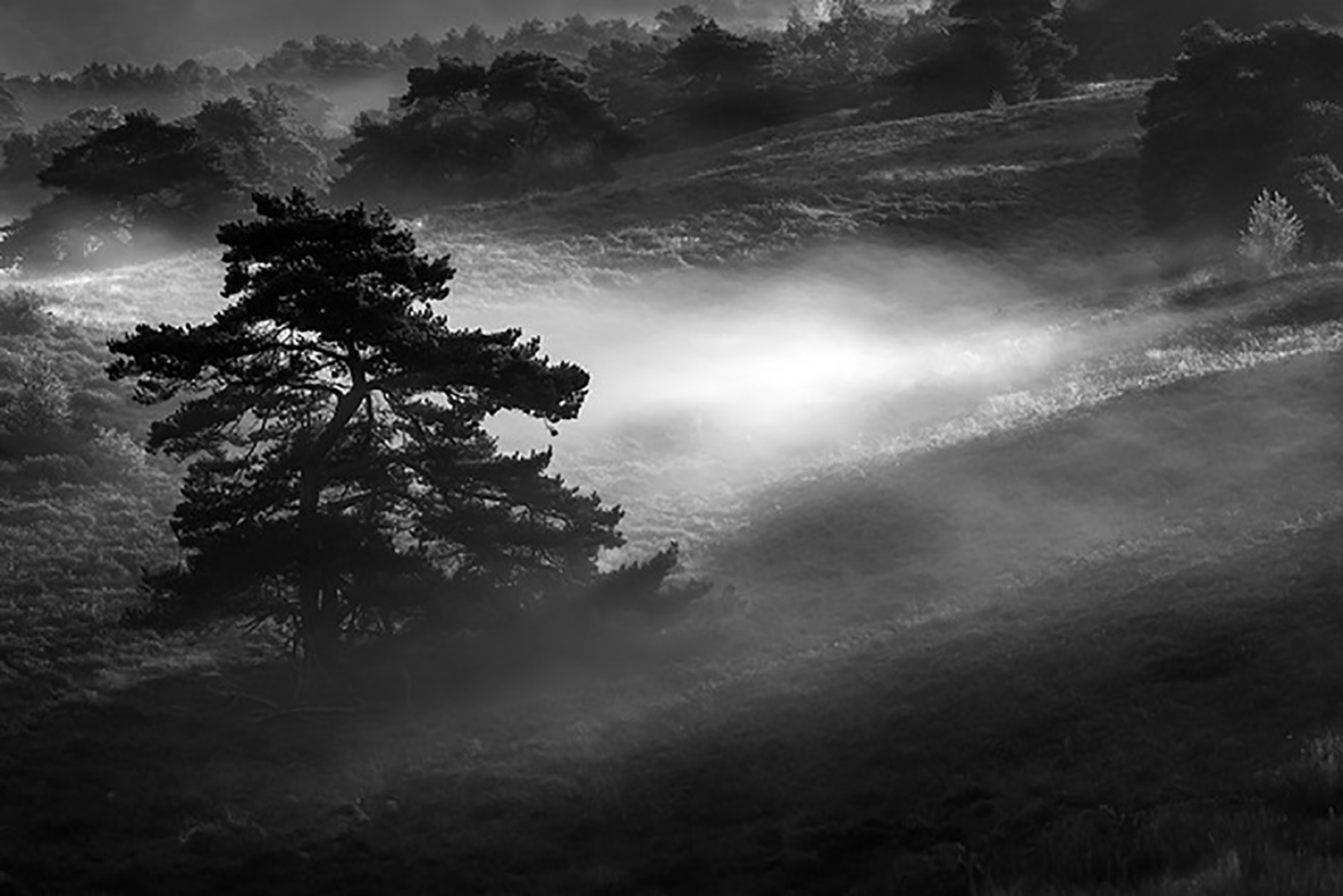 Paysage brumeux 2