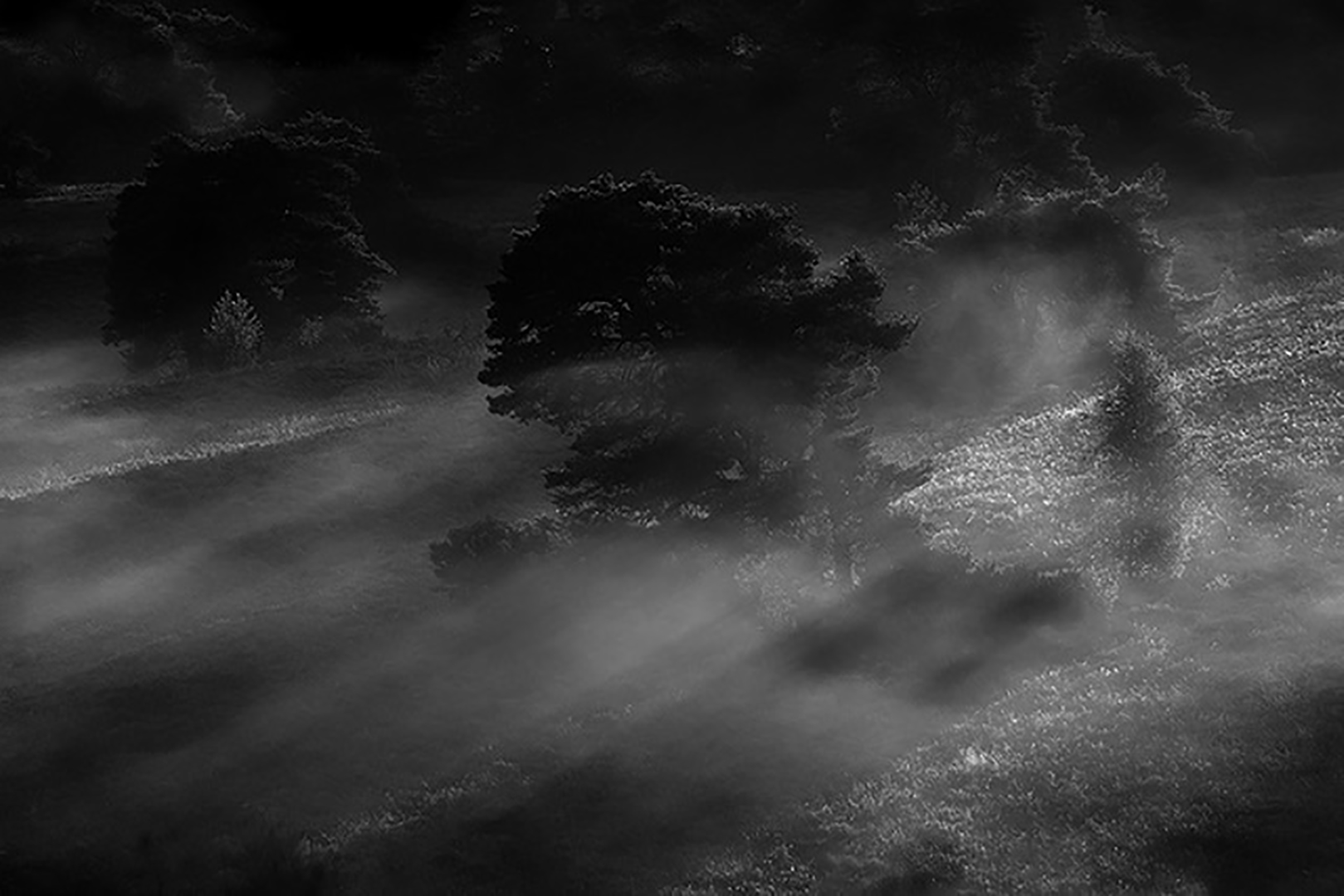 Paysage brumeux 4