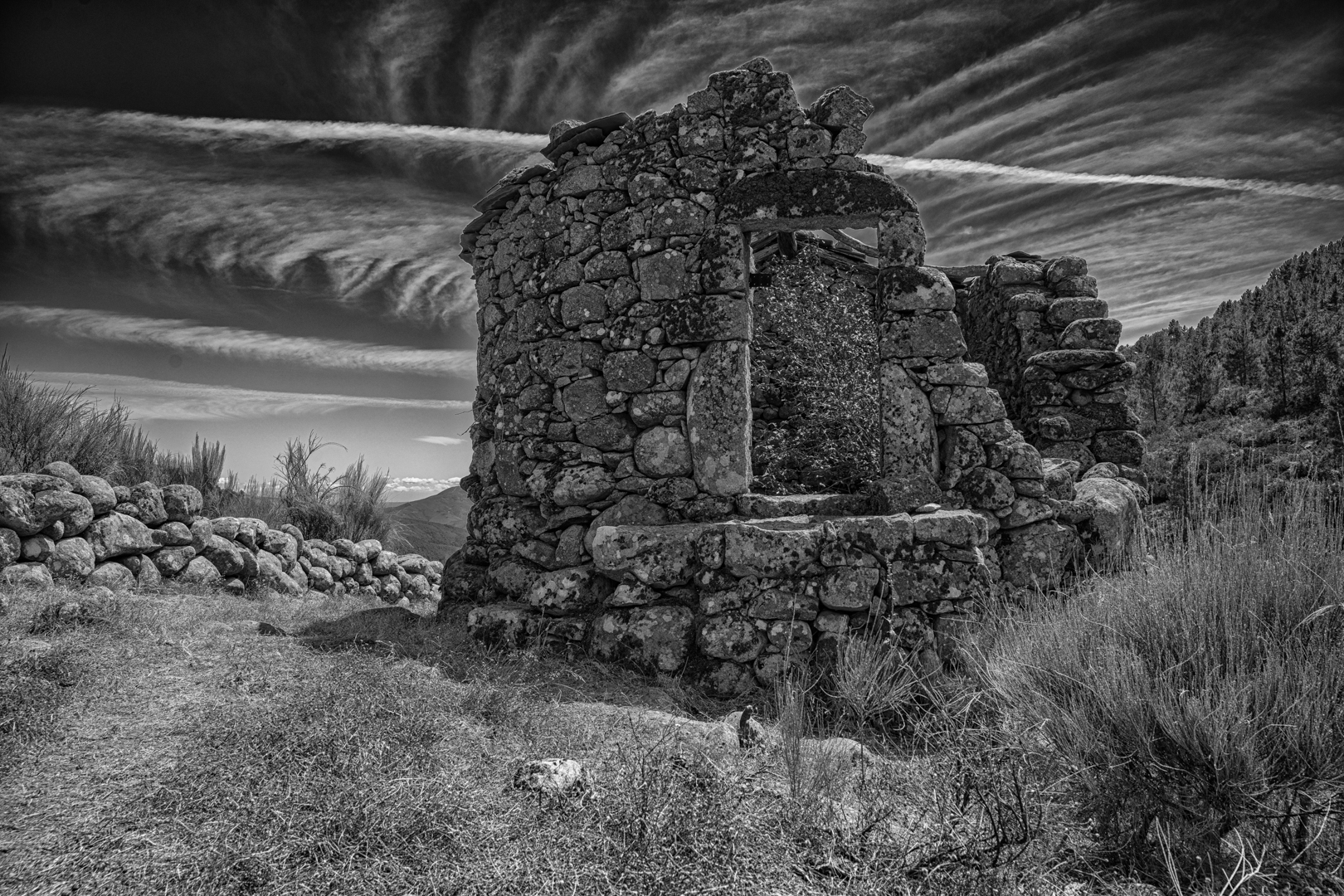 Die Ruine
