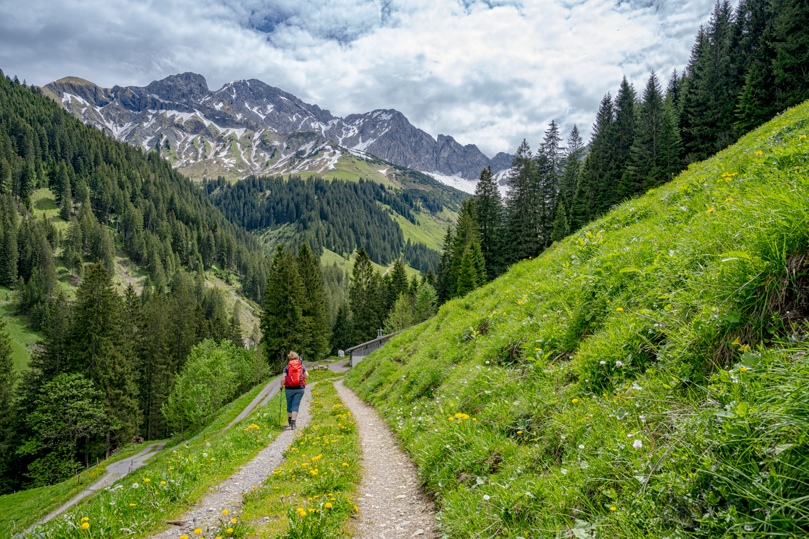 Rote Wanderin