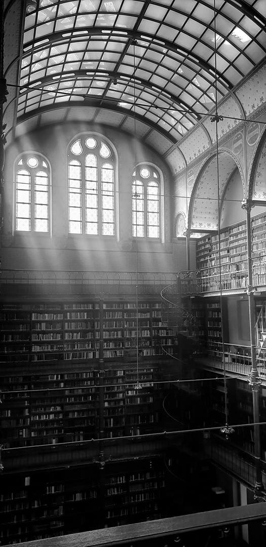 La bibliothèque