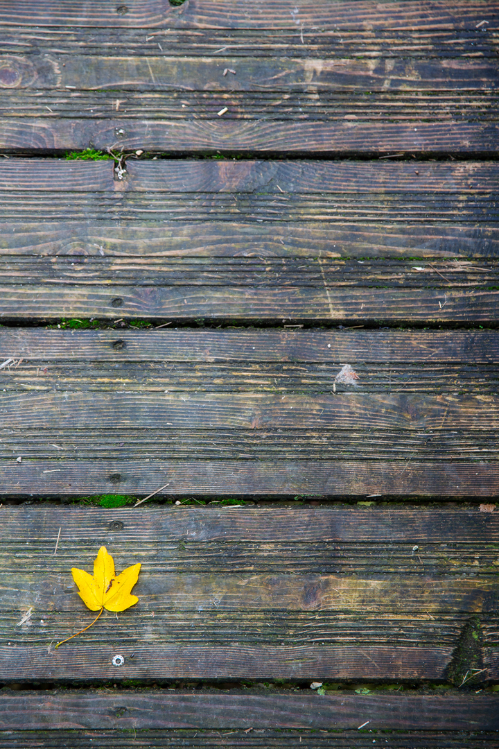 Passerelle en bois