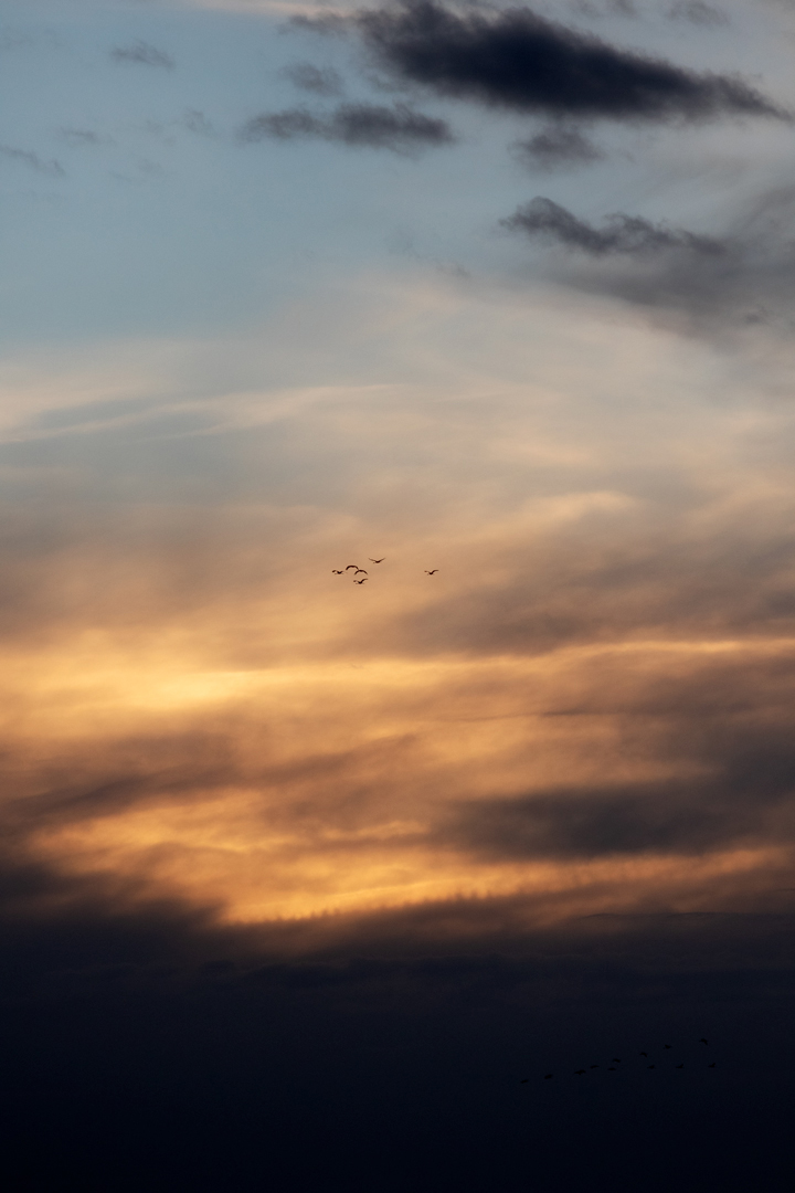 Voler vers le coucher du soleil